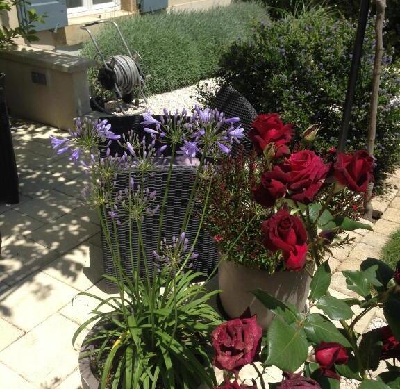 ベッドアンドブレックファースト La Glycine Blanche