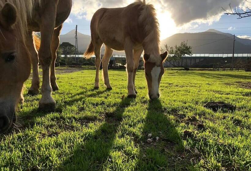مبيت وإفطار La Tenuta Del Campo Di Sopra