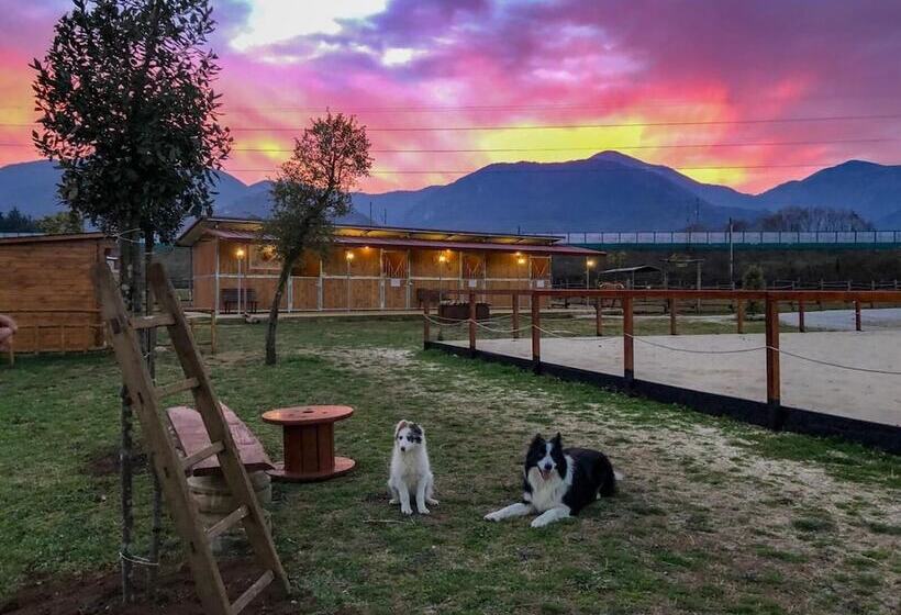 مبيت وإفطار La Tenuta Del Campo Di Sopra