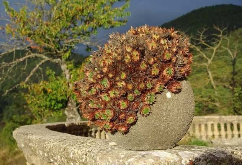 צימר La Villa Du Collet