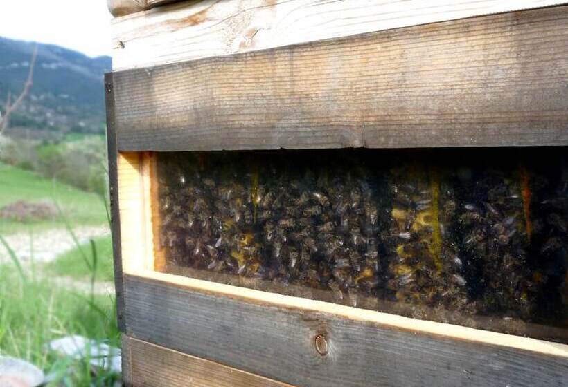 צימר La Villa Du Collet