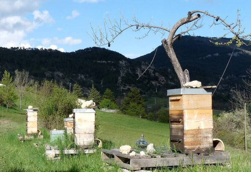 צימר La Villa Du Collet