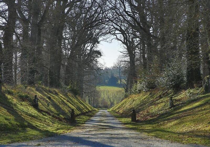 مبيت وإفطار Chateau Des Monts