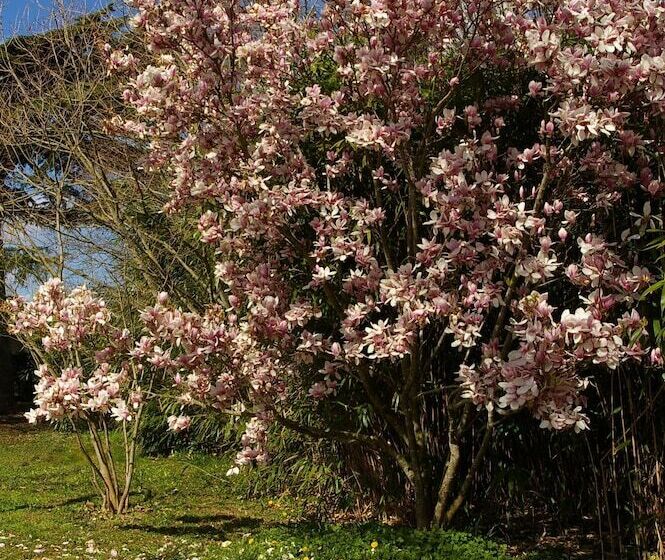 مبيت وإفطار Le Clos Des Rêves