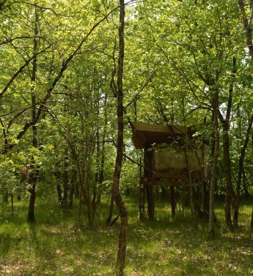 Bed and Breakfast Les Noyers Aulnay