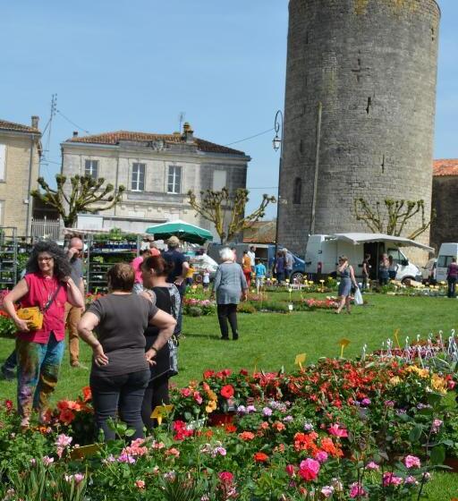 Bed and Breakfast Les Noyers Aulnay