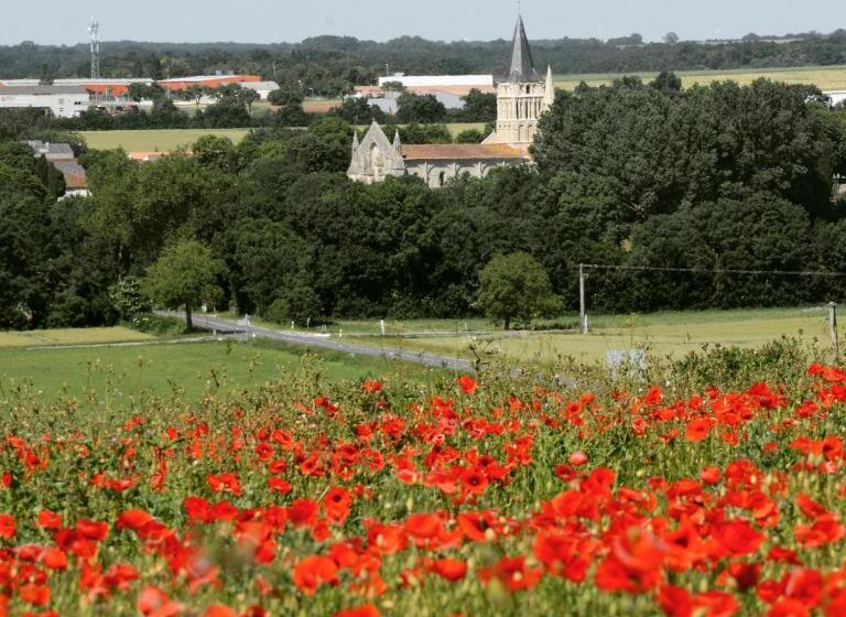 Bed and Breakfast Les Noyers Aulnay