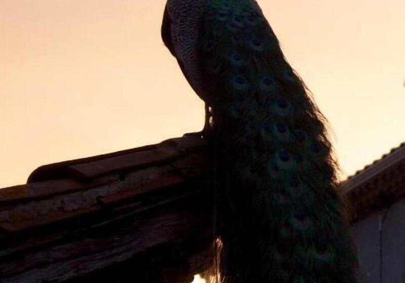 ベッドアンドブレックファースト Les Picardies