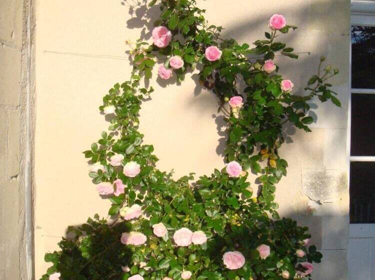 ベッドアンドブレックファースト Manoir D Orbé