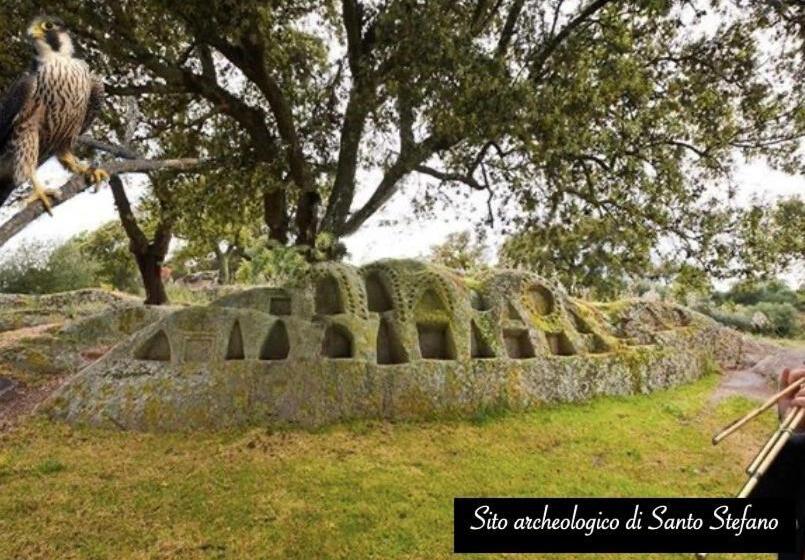 Bed and Breakfast Olaspri