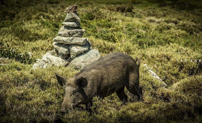 تختخواب و صبحانه San Larenzu