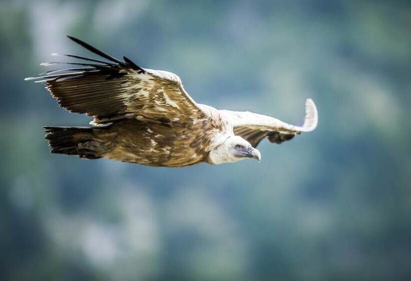 צימר Terre Des Baronnies. Cabanes