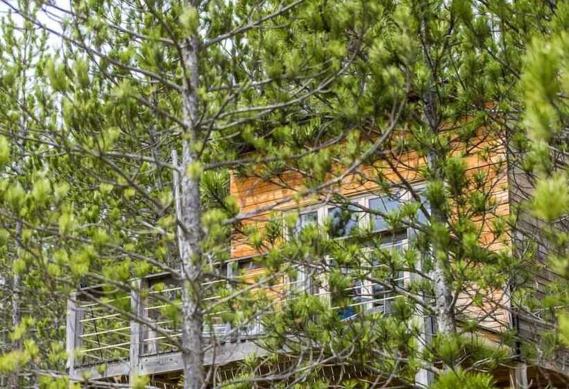 צימר Terre Des Baronnies. Cabanes