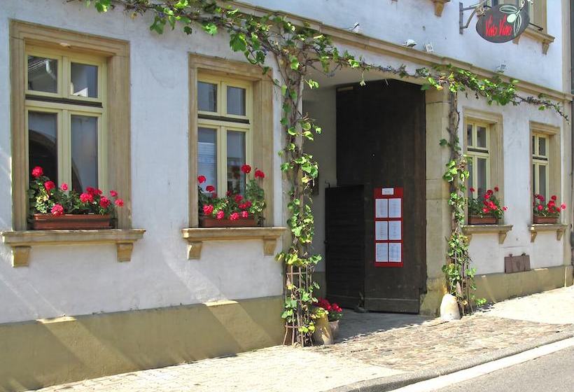 ベッドアンドブレックファースト Vivo Vino