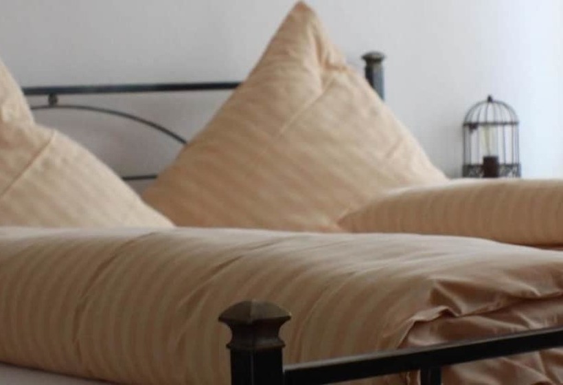 ベッドアンドブレックファースト Vivo Vino