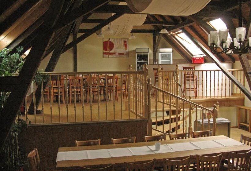 ベッドアンドブレックファースト Vivo Vino