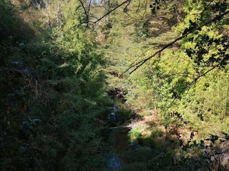 Cabañas El Rincón De La Paito La Placeta