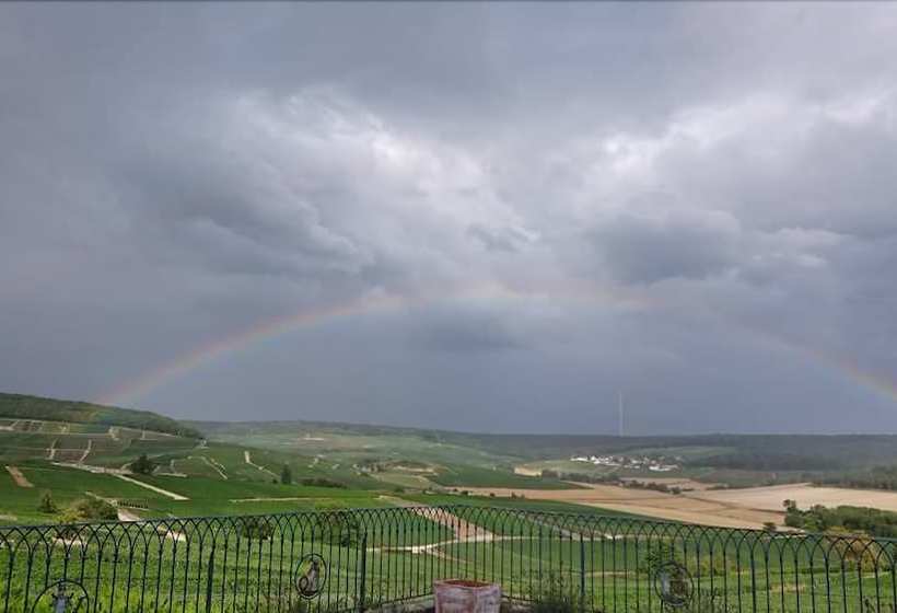 Flor Ever En Champagne