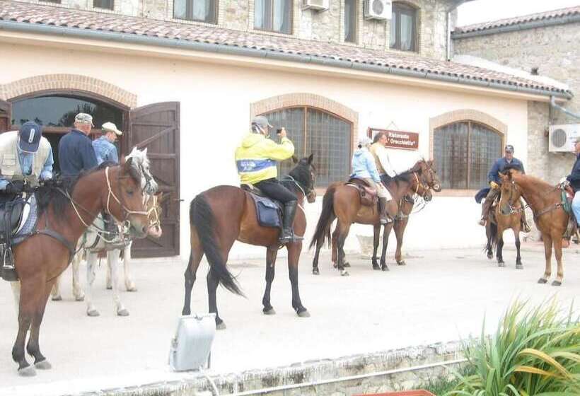 فندق فئة نجمة واحدة L Orecchietta