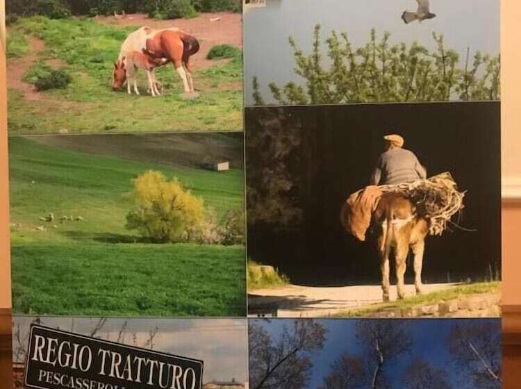فندق فئة نجمة واحدة L Orecchietta