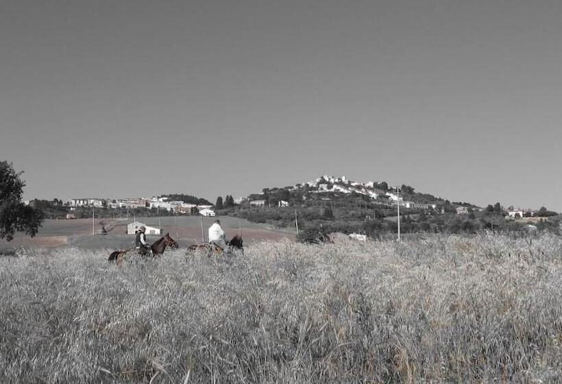 فندق فئة نجمة واحدة L Orecchietta