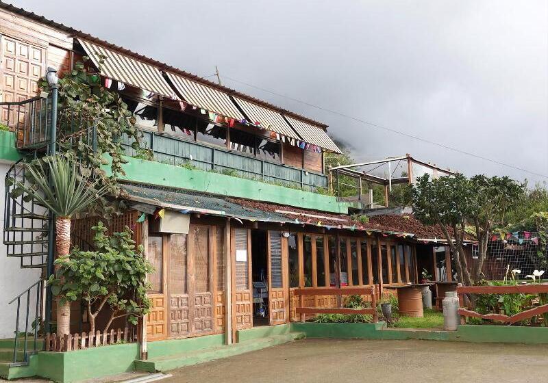 Hostal Mamio Verde   Hostel