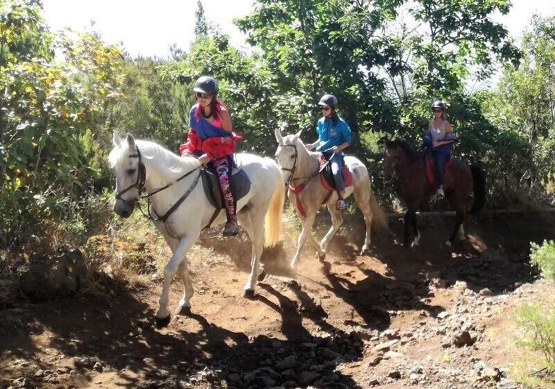 Hostal Mamio Verde   Hostel