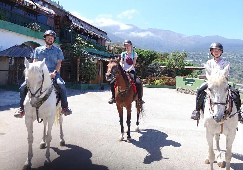 Hostal Mamio Verde   Hostel