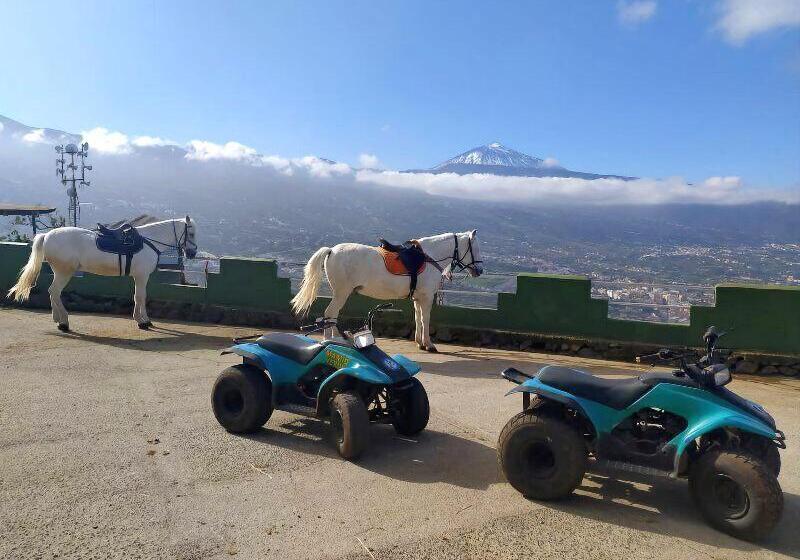 Hostal Mamio Verde   Hostel