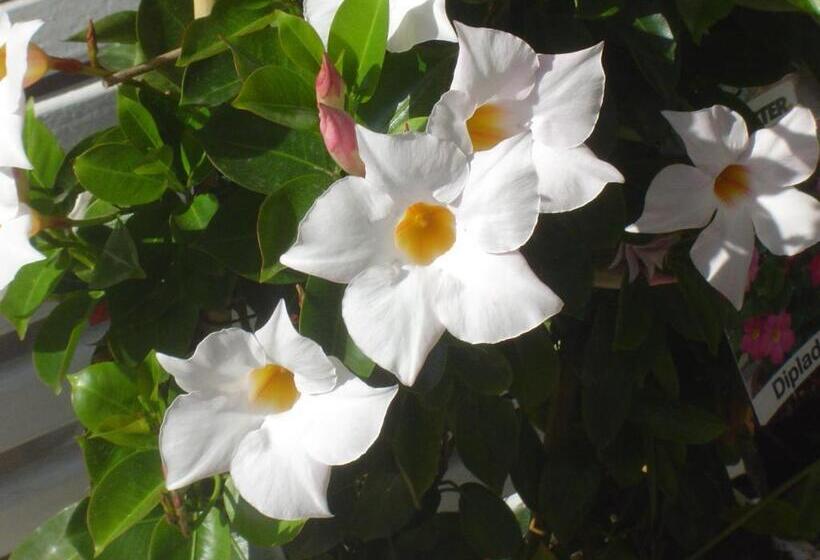 Apartmenthotel Vollumen