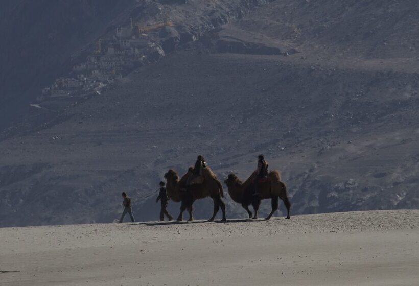 فندق Chamba Camp Diskit