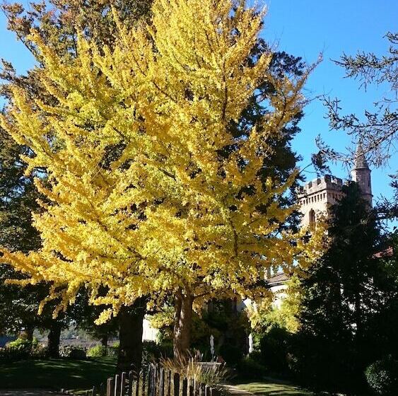 فندق Château De Creissels