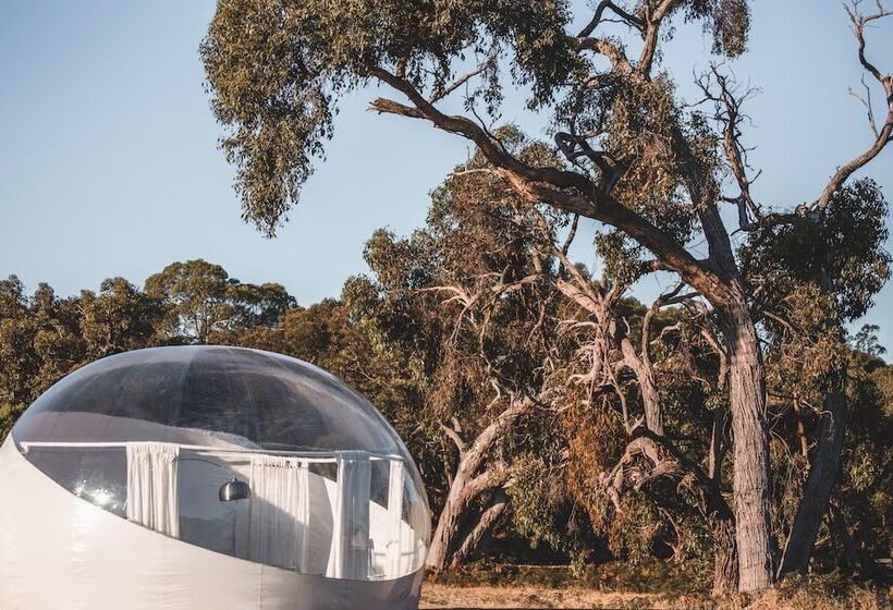 בית מלון כפרי Coonawarra Bush Holiday Park