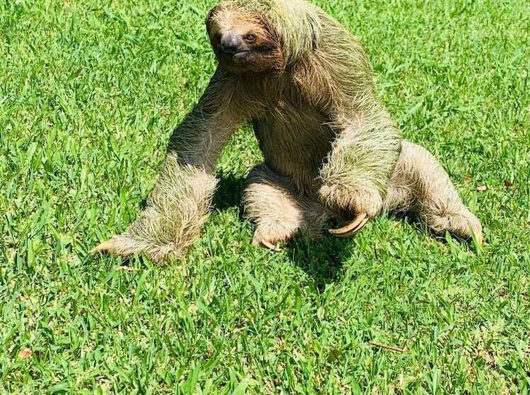 فندق Epic Adventure Lodge