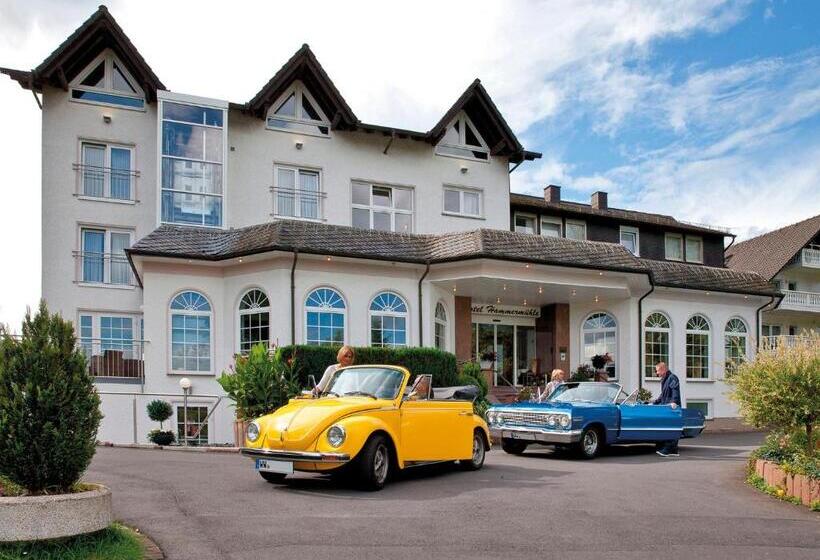 Отель Hammermuhle