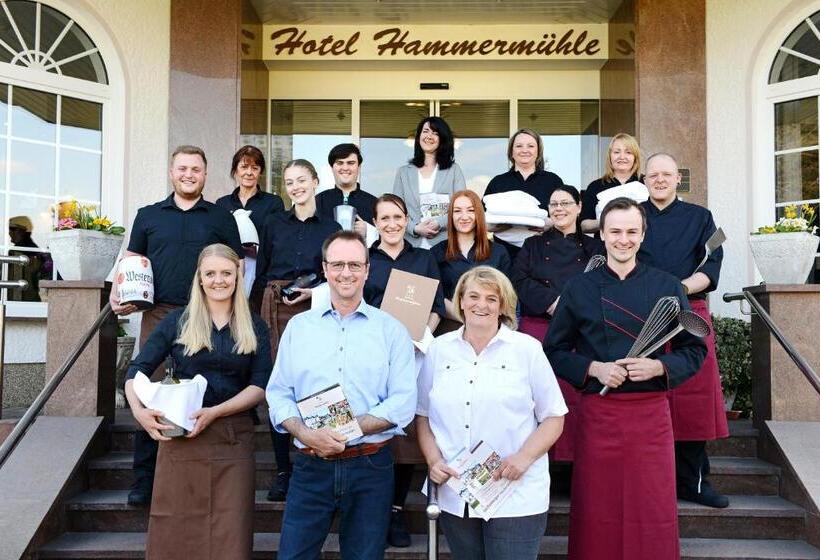 Отель Hammermuhle