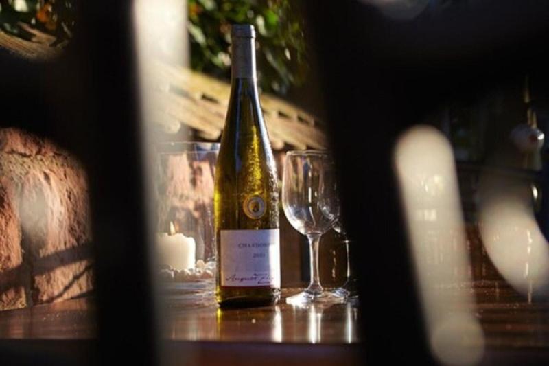 酒店 Losch Pfalzer Hof