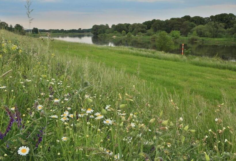 호텔 Moritz An Der Elbe