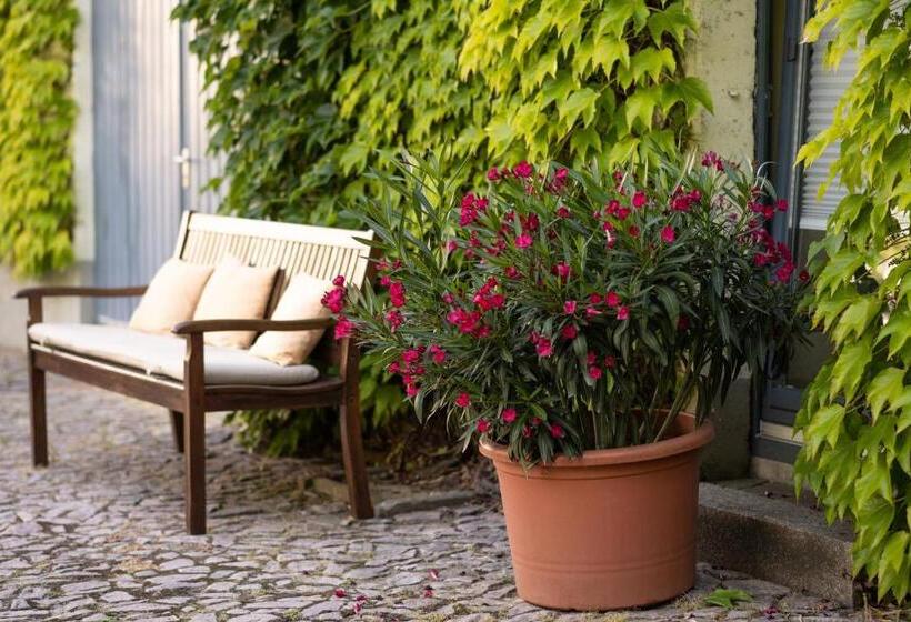 호텔 Moritz An Der Elbe