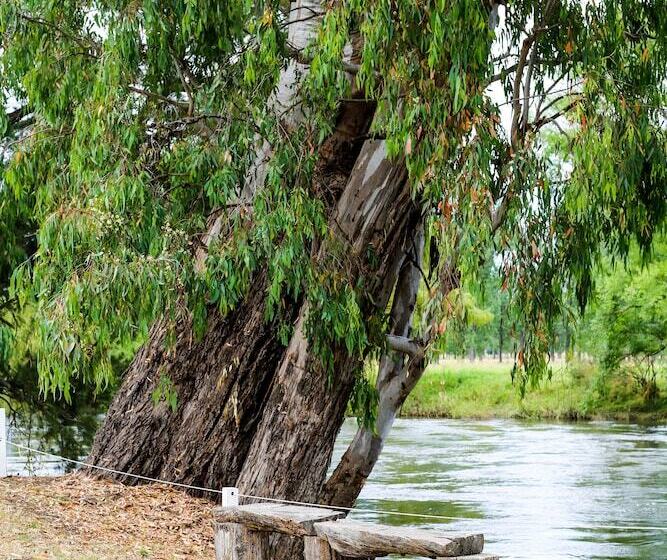 בית מלון כפרי Nimbo Fork Lodge