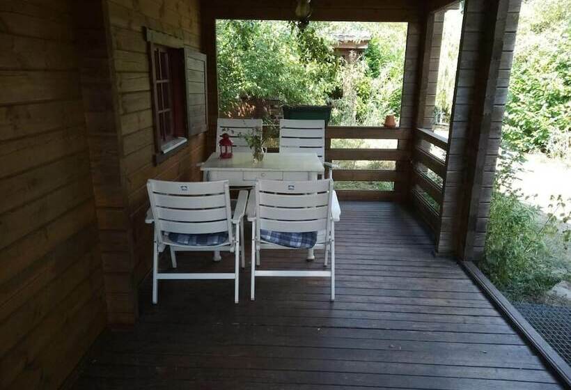 호텔 Pension An Der Stadtmauer