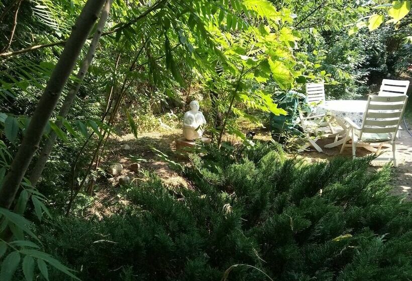 호텔 Pension An Der Stadtmauer