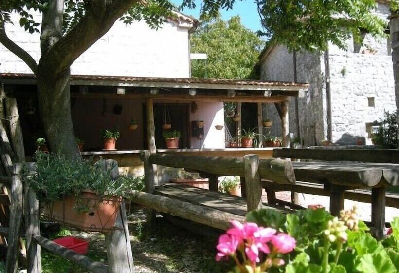 Сельский отель Agriturismo Borgo Cerquelle