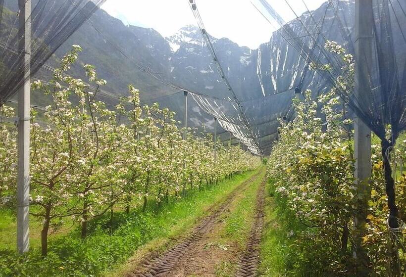 田舎風ホテル Agriturismo Pian Dei Tass