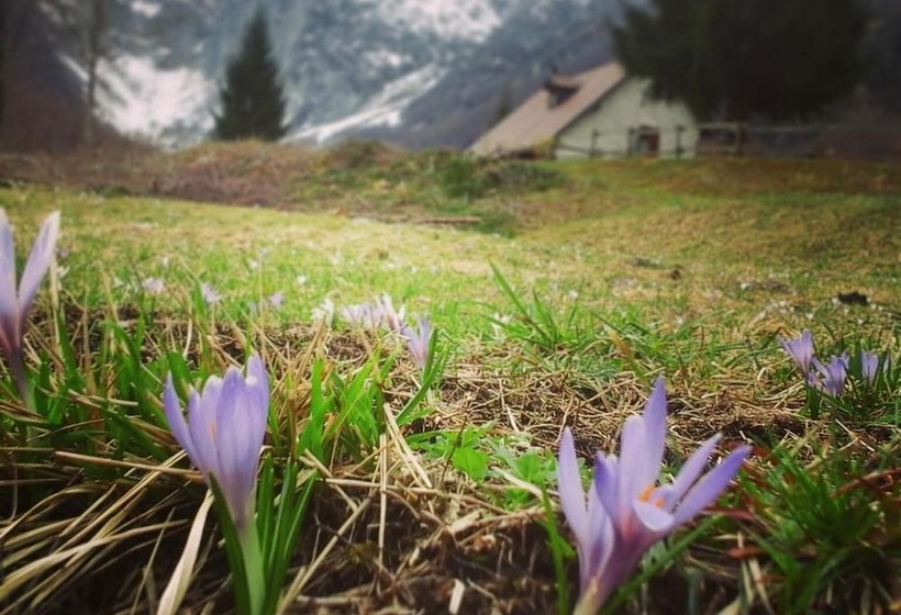 교외 호텔 Agriturismo Pian Dei Tass