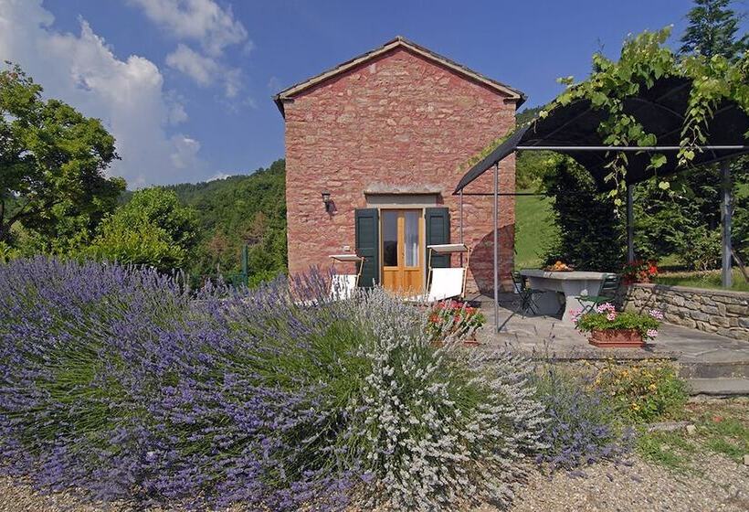 בית מלון כפרי Agrivillelacollina