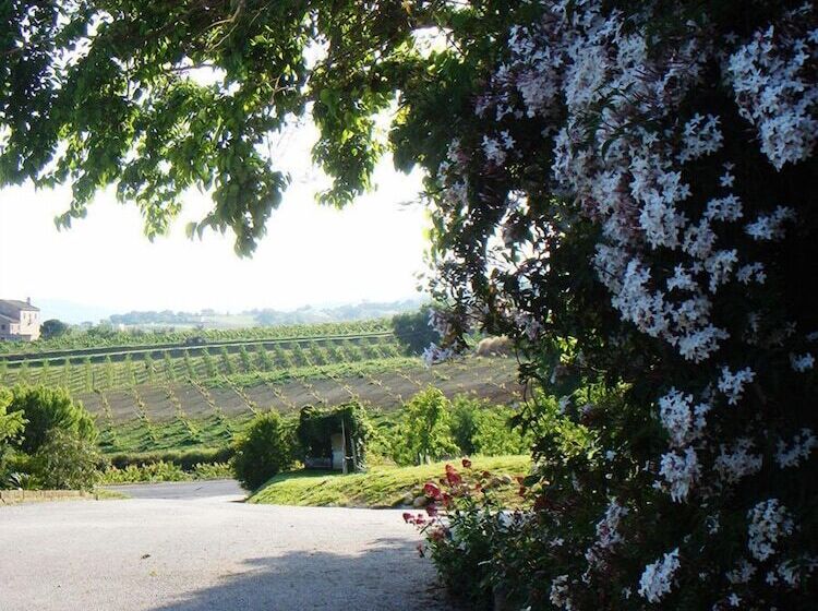 فندق ريفى Casa Vecchia Agriturismo