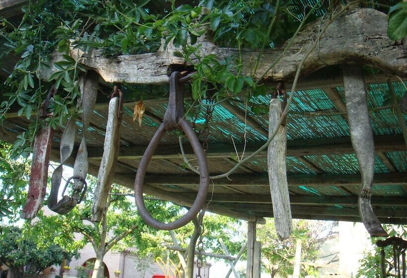 فندق ريفى Casa Vecchia Agriturismo