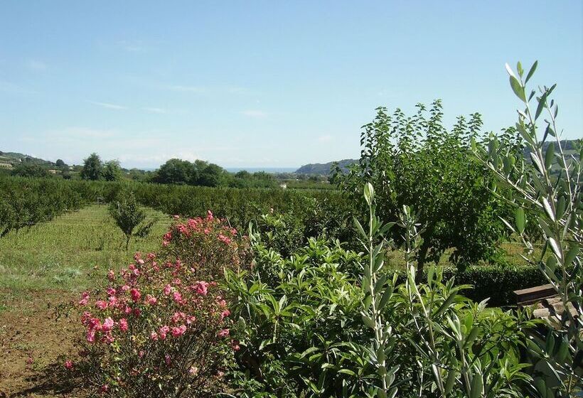 فندق ريفى Casa Vecchia Agriturismo