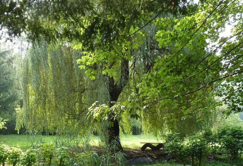 호텔 Schloss Weißenburg